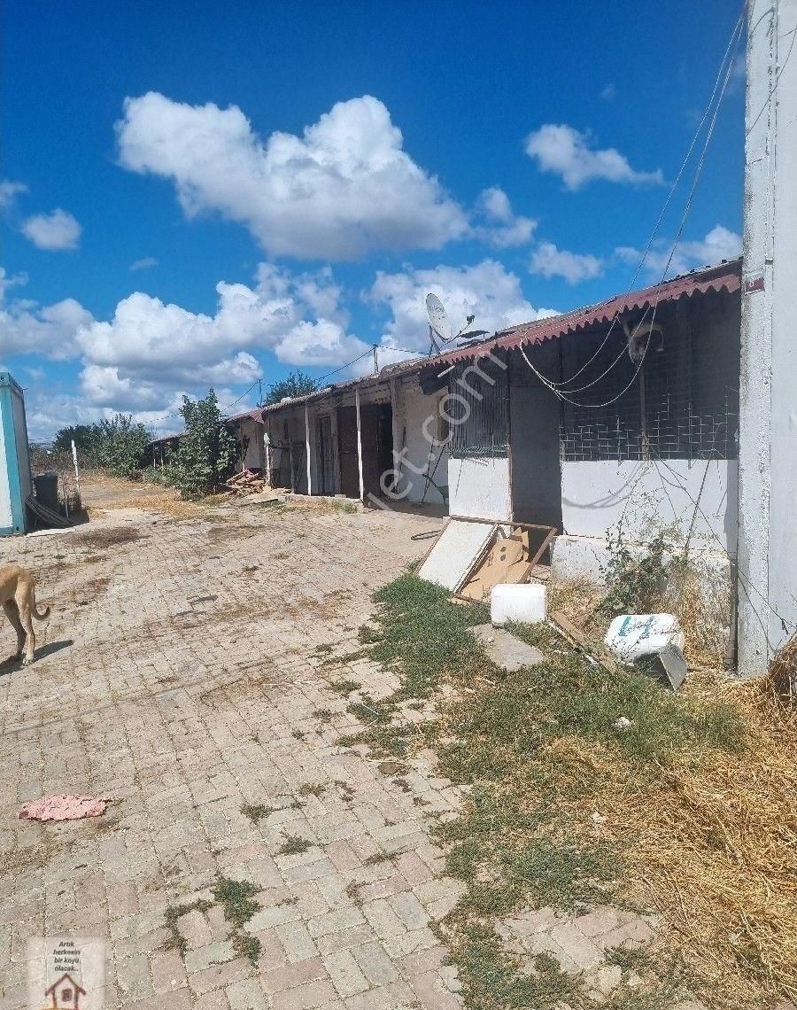 Selimpaşa Kavaklı Yolu Üzerinde Kiralık Depo - Görsel 13