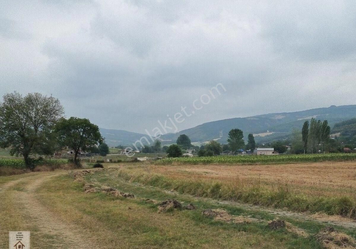 Şarköy Gölcük Satılık Tarla Tekirdağ Gölcük Köye Ve Ana Yola Yakın Müstskil Tapu Etrafı Çevreli