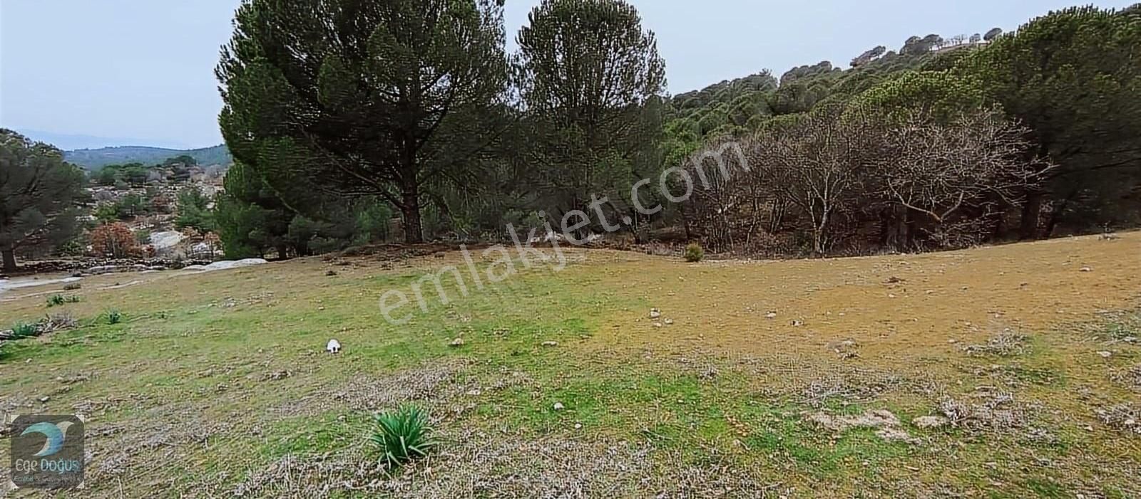 Yunusemre Osmancalı Satılık Tarla Manisa Yunusemre Osmancalı Mah. 6650m2 Satılık Arazi