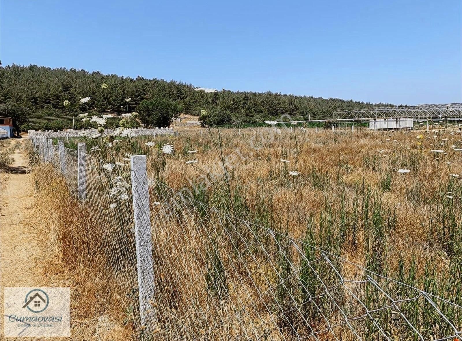 Menderes Ataköy Satılık Bağ & Bahçe Cumaovası Emlak'tan Ataköy'de Satılık Hisse Tapulu Tarla