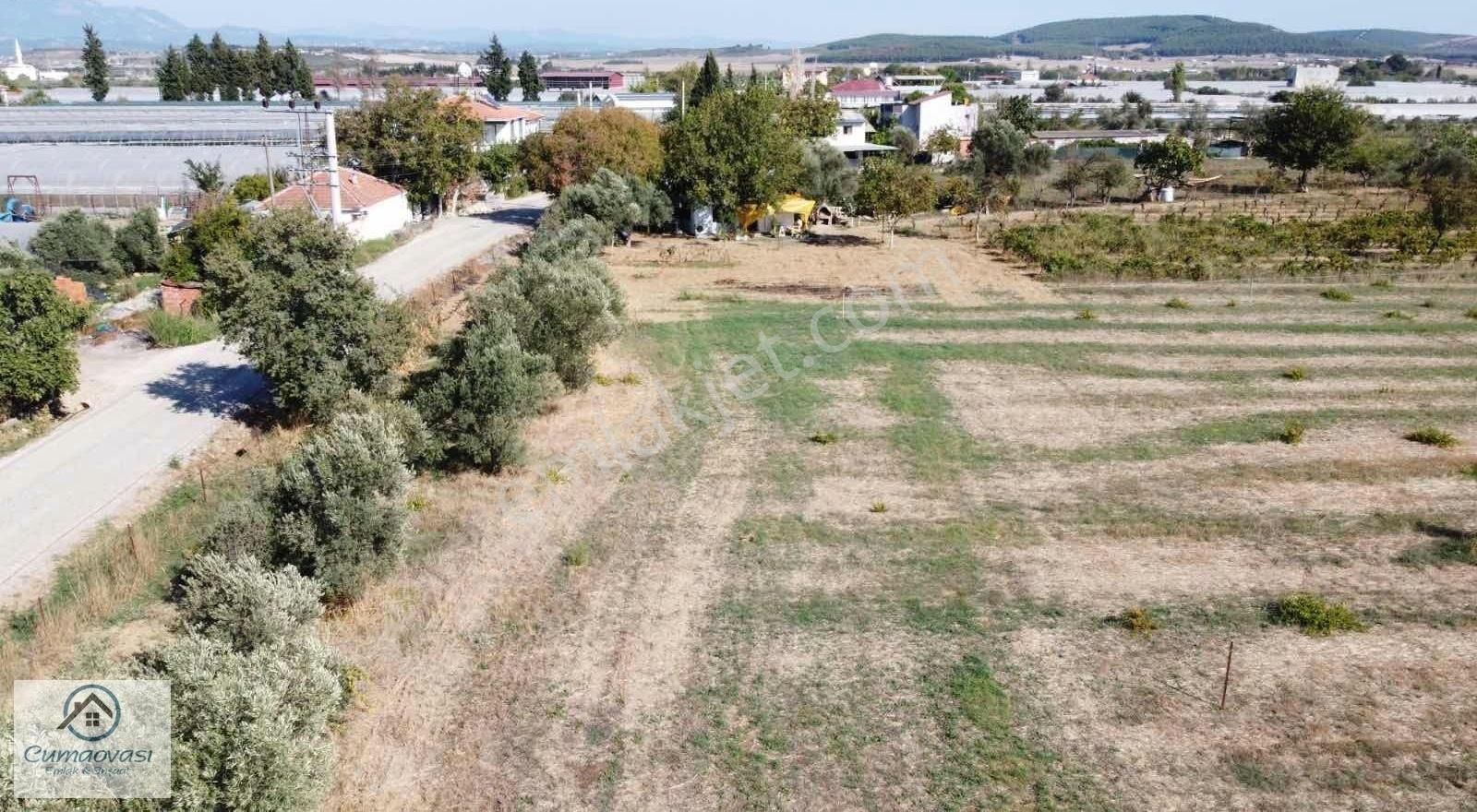 Menderes Altıntepe Satılık Bağ & Bahçe Cumaovası Emlak'tan Satılık Altıntepe Mah.4095 mt Tarla Hisse