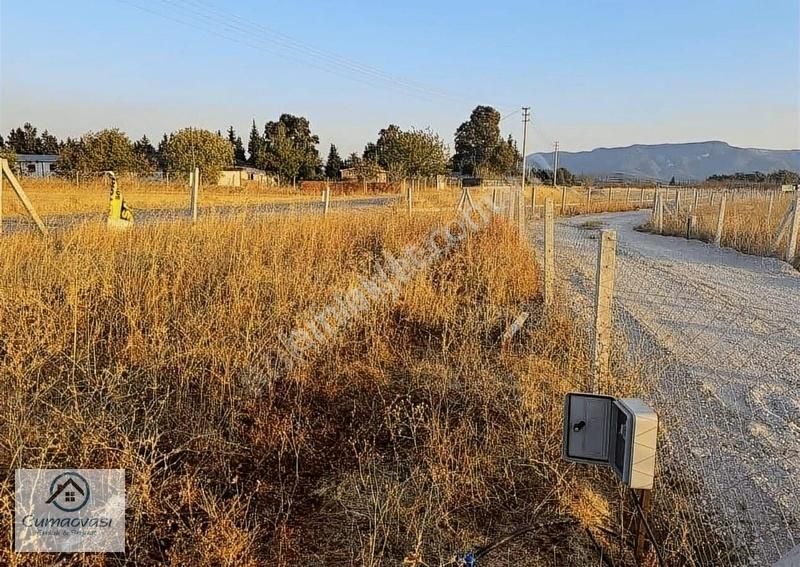 Menderes Küner Satılık Bağ & Bahçe CUMAOVASI EMLAKTAN FIRSAT BAHÇE