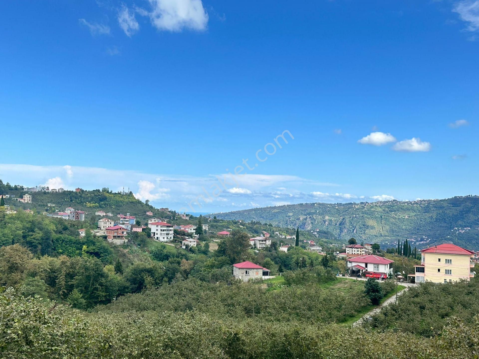 Ortahisar Akoluk Satılık Arazi Trabzon Ortahisar Akoluk Aydınlı Mahallesi Satılık Arsa