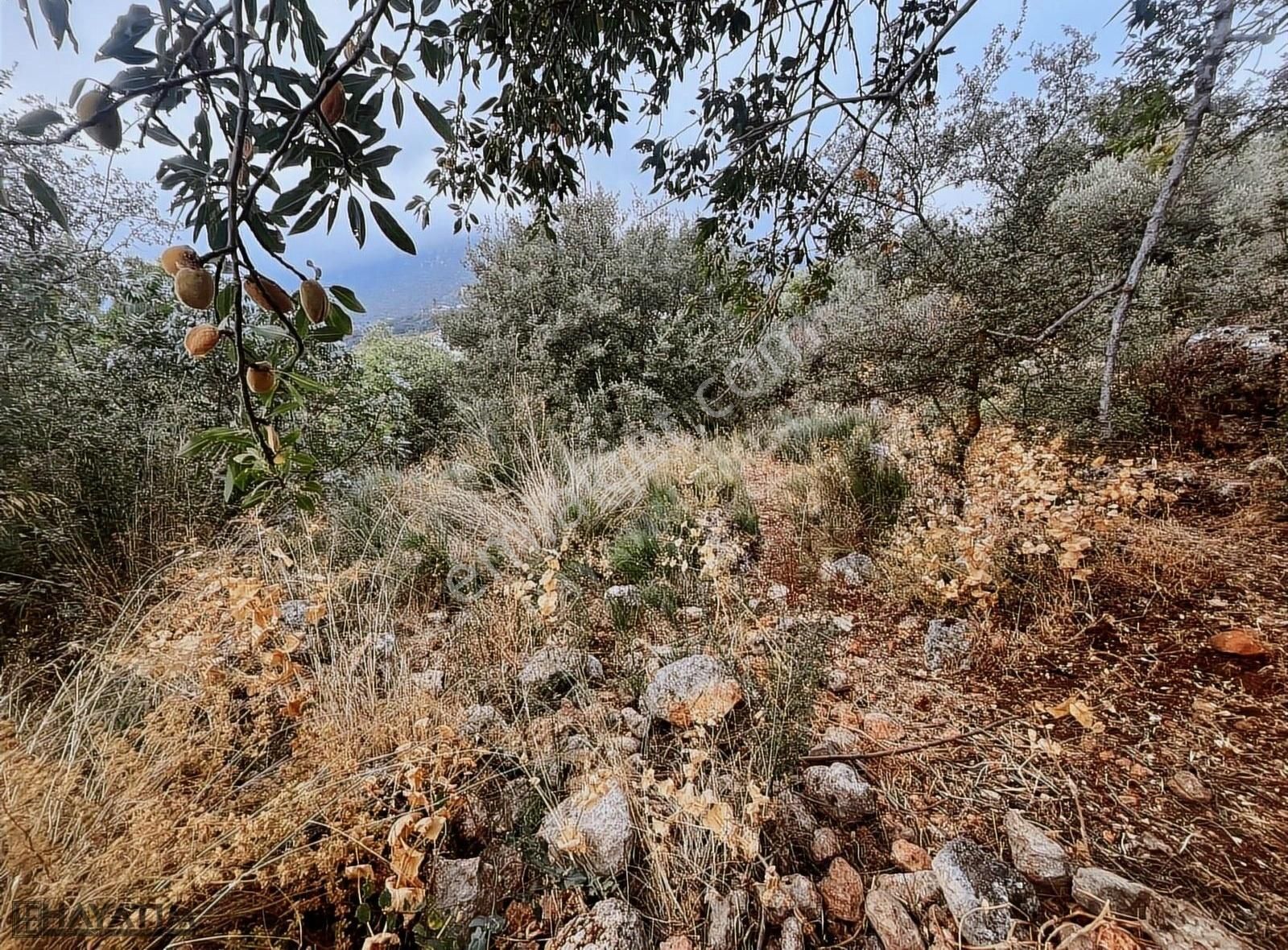 Kaş Çukurbağ Satılık Tarla Hayatım Emlak'tan Çukurbağ Köyünde Müstakil Uygun Fiyatlı Arsa