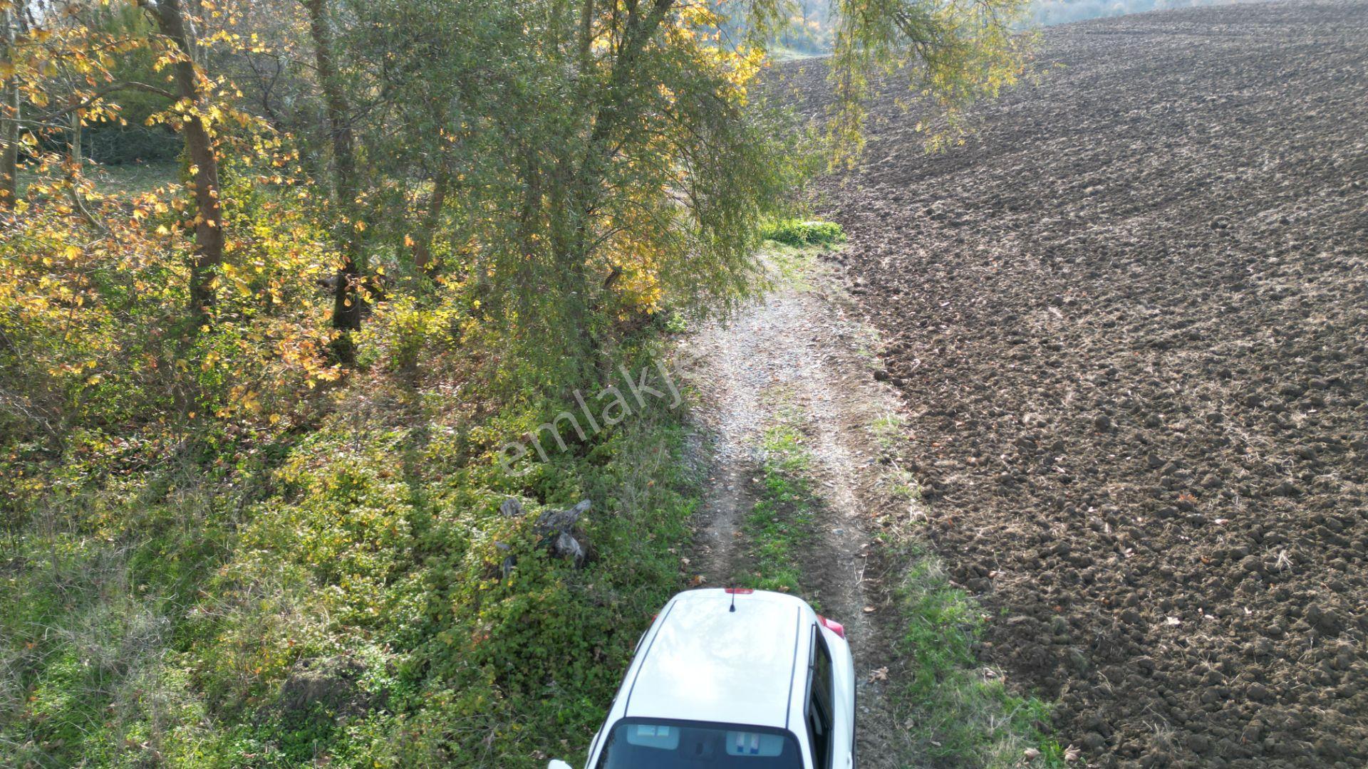 Kocaeli Karamürsel Kızderbent Satılık %5 İmarlı 1199 M2 Tarla - Görsel 12