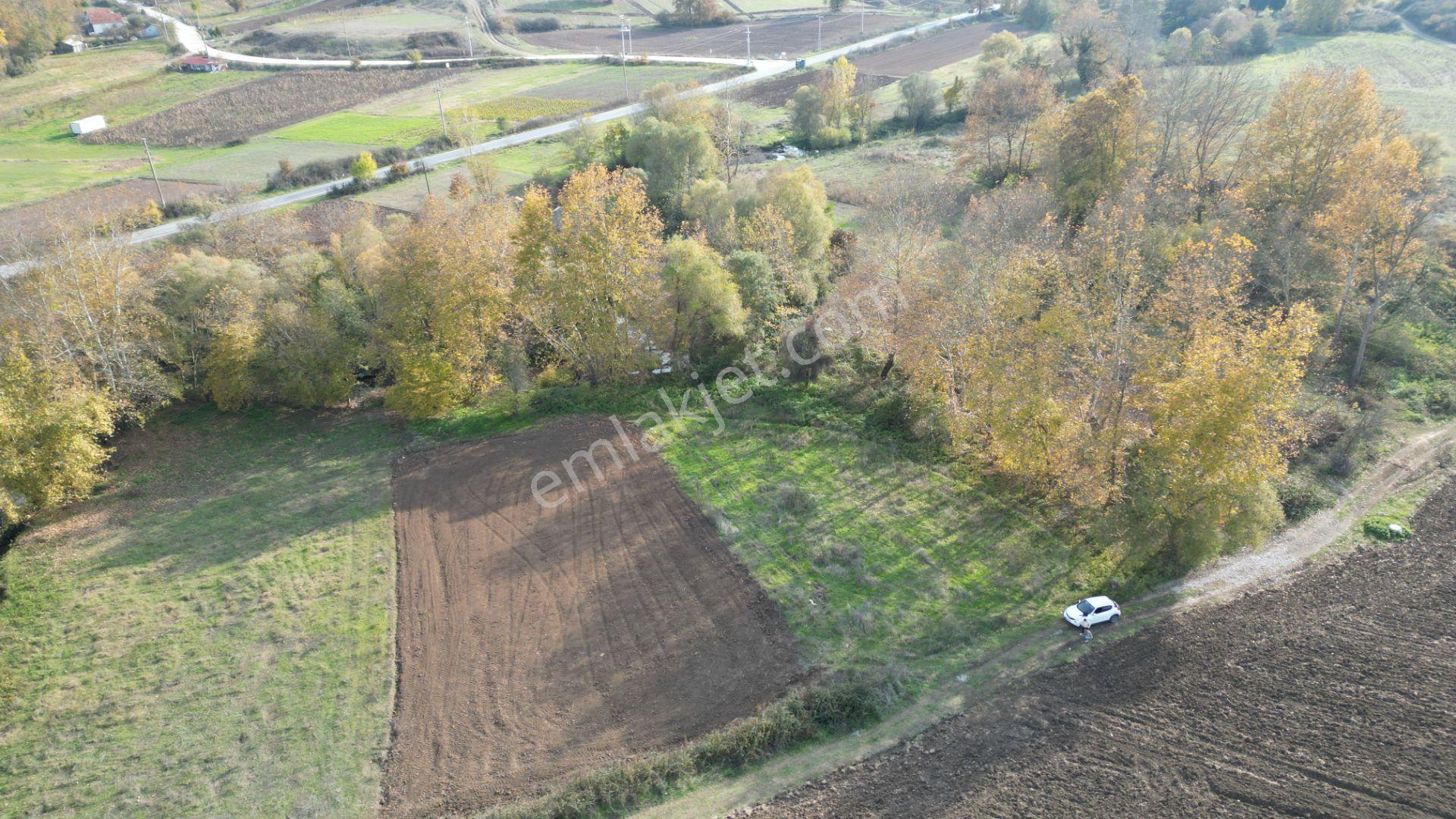 Kocaeli Karamürsel Kızderbent Satılık %5 İmarlı 1199 M2 Tarla - Görsel 2