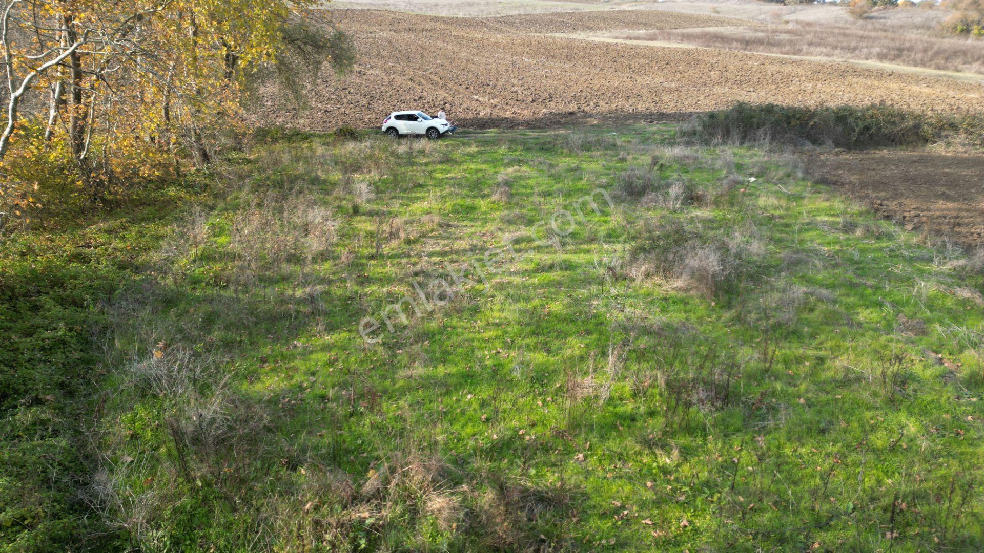 Kocaeli Karamürsel Kızderbent Satılık %5 İmarlı 1199 M2 Tarla - Görsel 8
