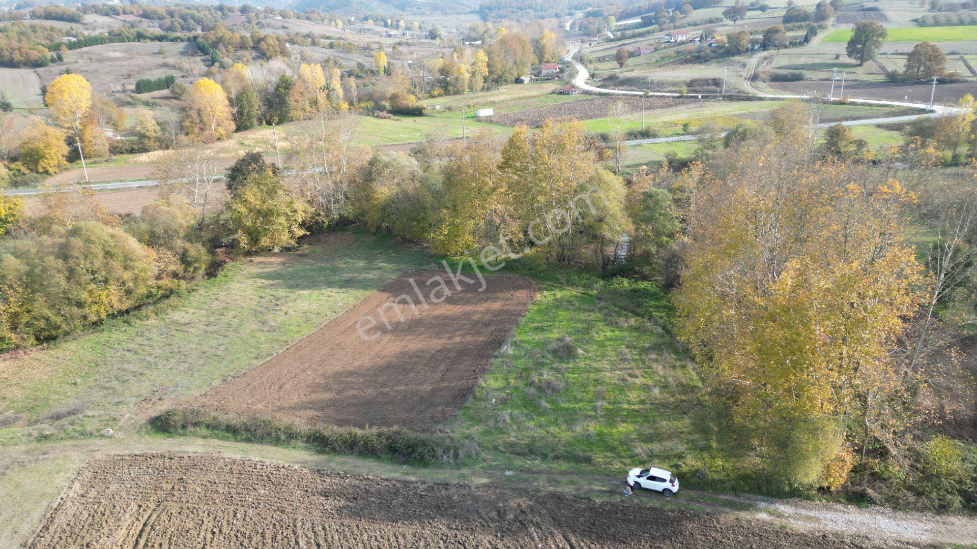Kocaeli Karamürsel Kızderbent Satılık %5 İmarlı 1199 M2 Tarla - Görsel 3