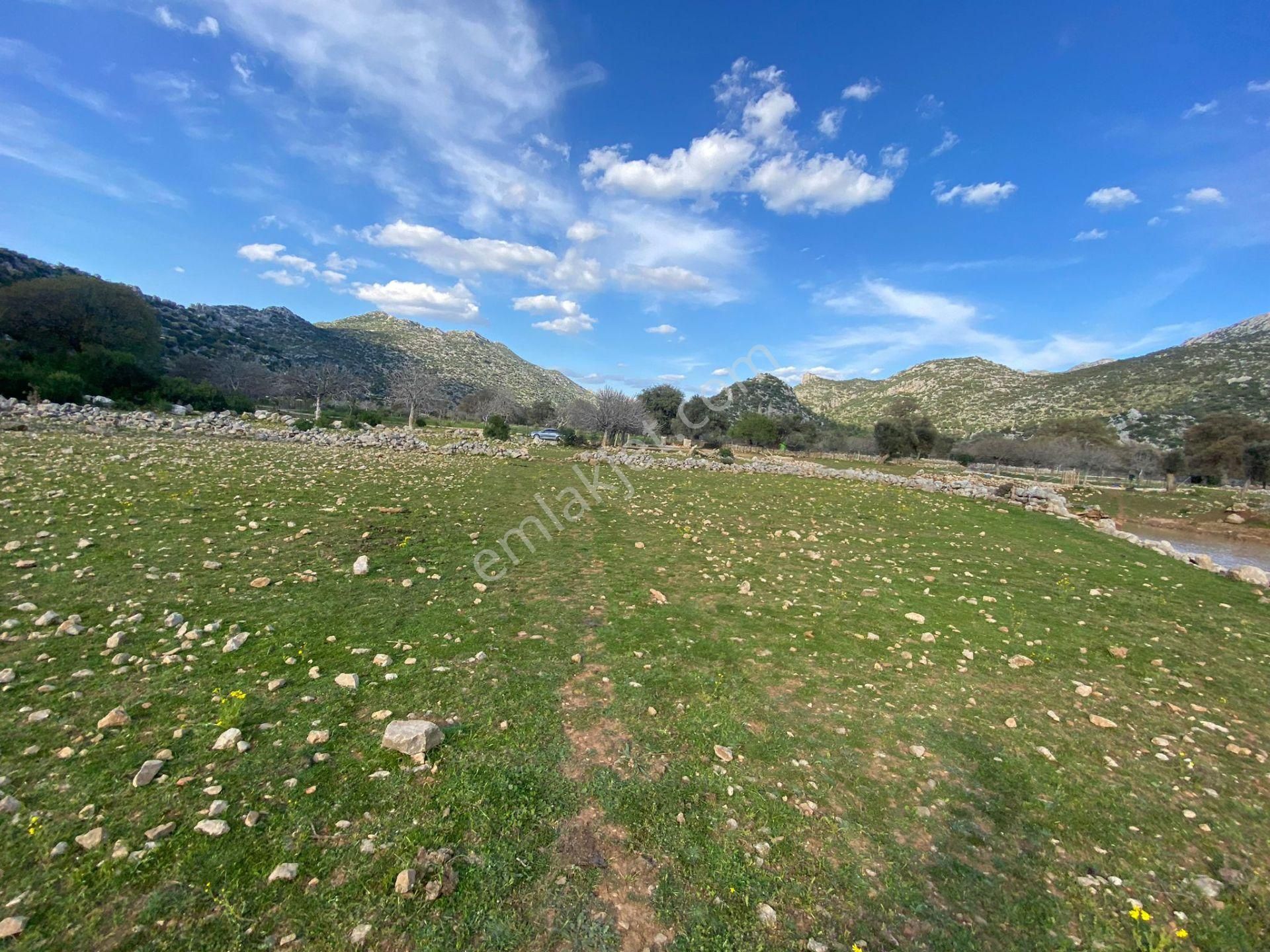 Taşlıca'da Düzlük Alanda Tarla - Görsel 2