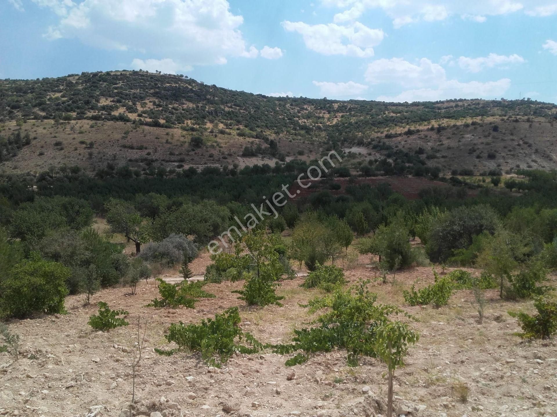 Şehitkamil İncesu Satılık Tarla İncesuda Satılık Bağ Evi