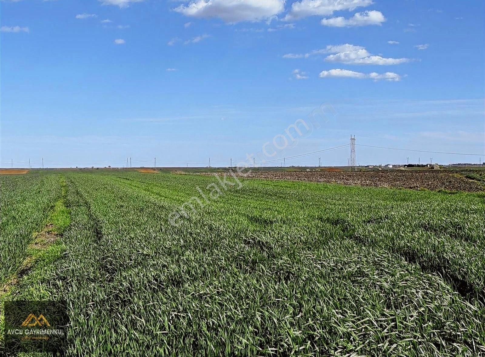 Lüleburgaz Ayvalı Köyü Satılık Bağ & Bahçe Avcu'dan Ayvalı Köyünde 3.050m2 Resmi Yollu Mükemmel Arazi