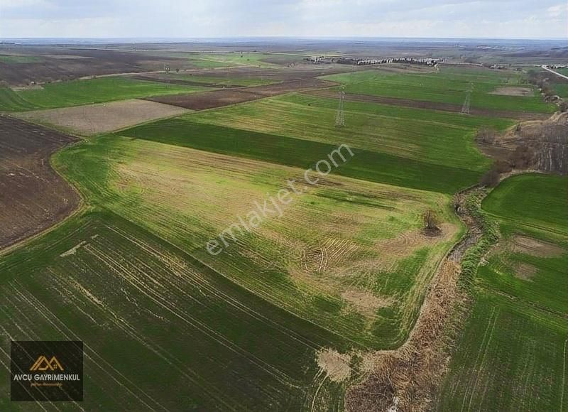 Lüleburgaz Ayvalı Köyü Satılık Tarla Avcu'dan Satılık Yatırımlık Mükemmel 13.550 M2 Arazi