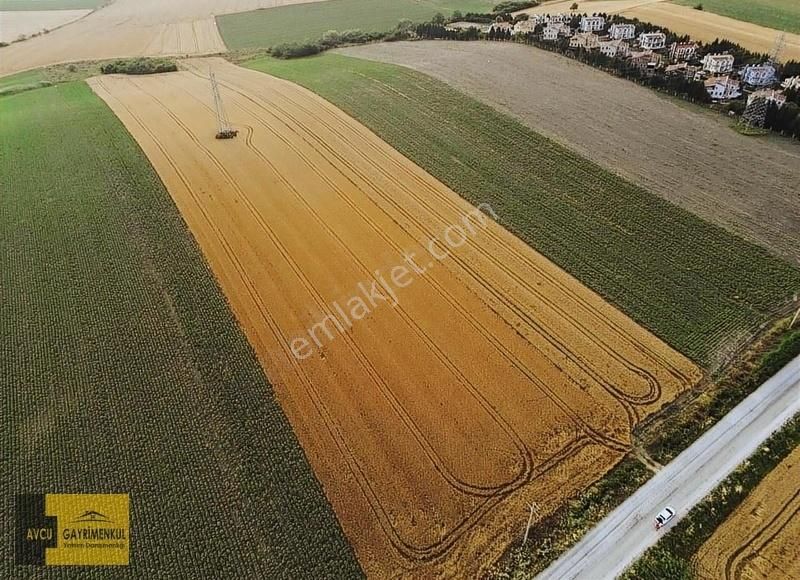 Lüleburgaz Ayvalı Köyü Satılık Ticari İmarlı AVCU GAYRİMENKULDEN AYVALI DA ASFALT CEPHE 20.086M2 FIRSAT ARAZİ