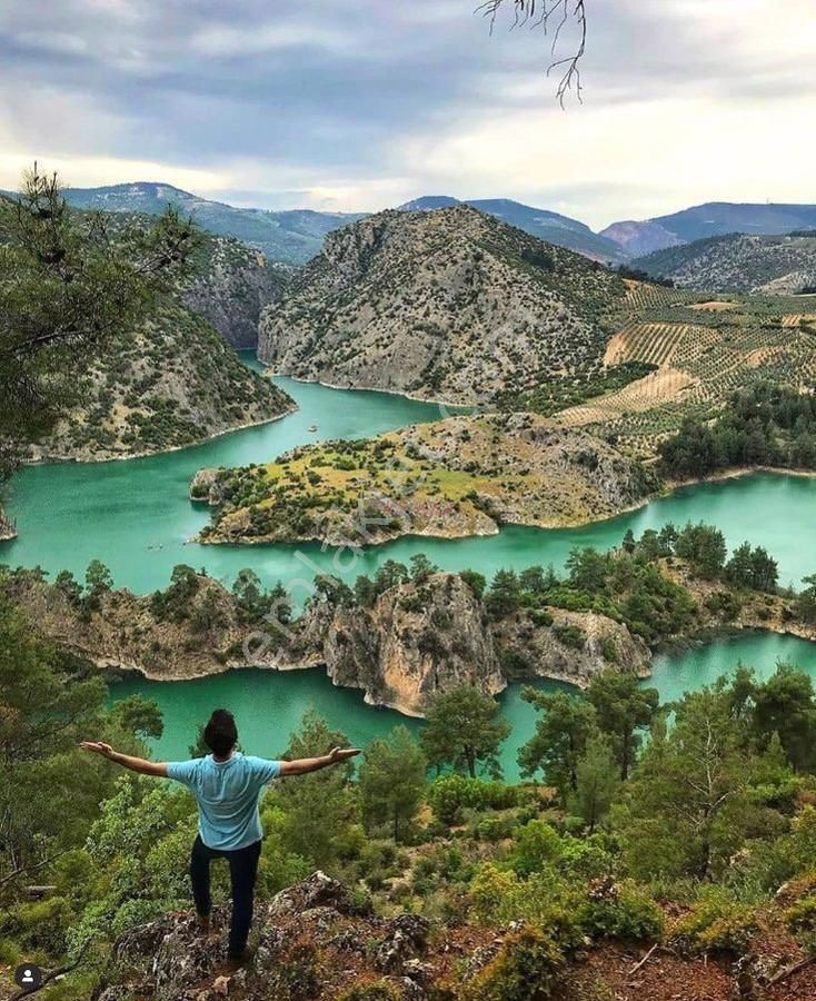 Bozdoğan Güneyyaka Satılık Tarla Aydın Bozdoğanda Satılık Tarla