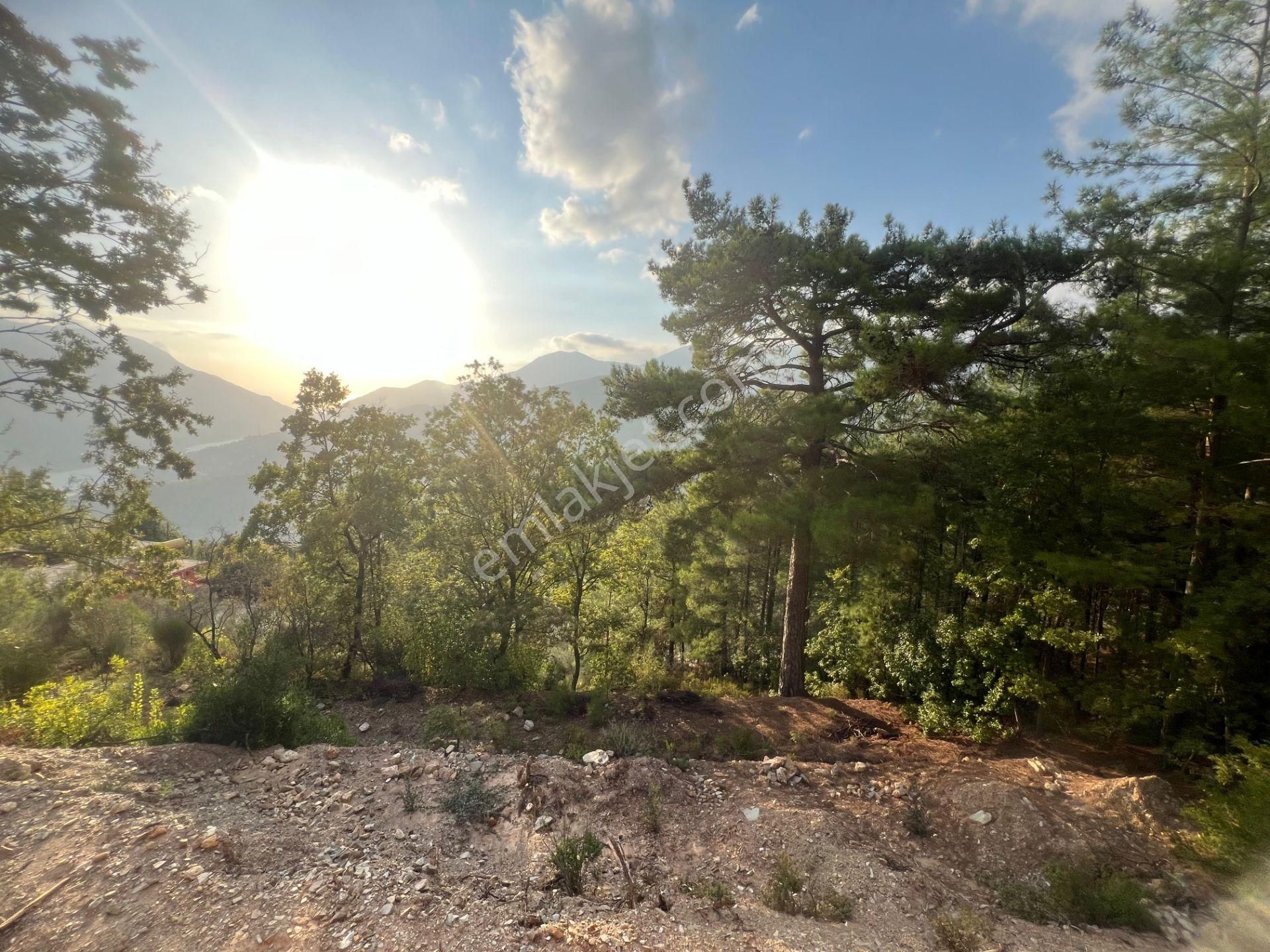 Alanya Üzümlü Mahallesi'nde Satılık Ahşap Müstakil Ev - Görsel 10