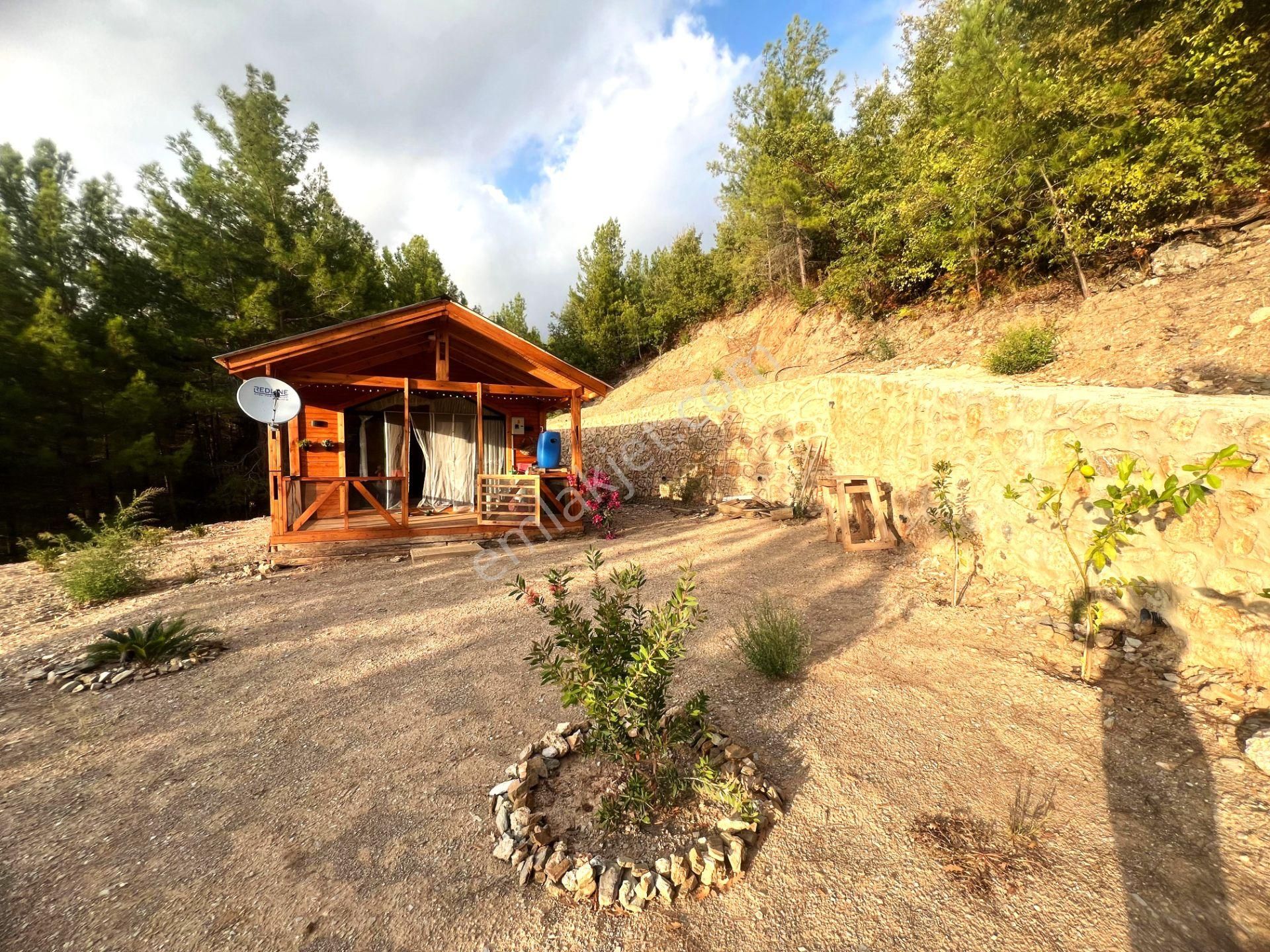 Alanya Üzümlü Mahallesi'nde Satılık Ahşap Müstakil Ev - Görsel 2