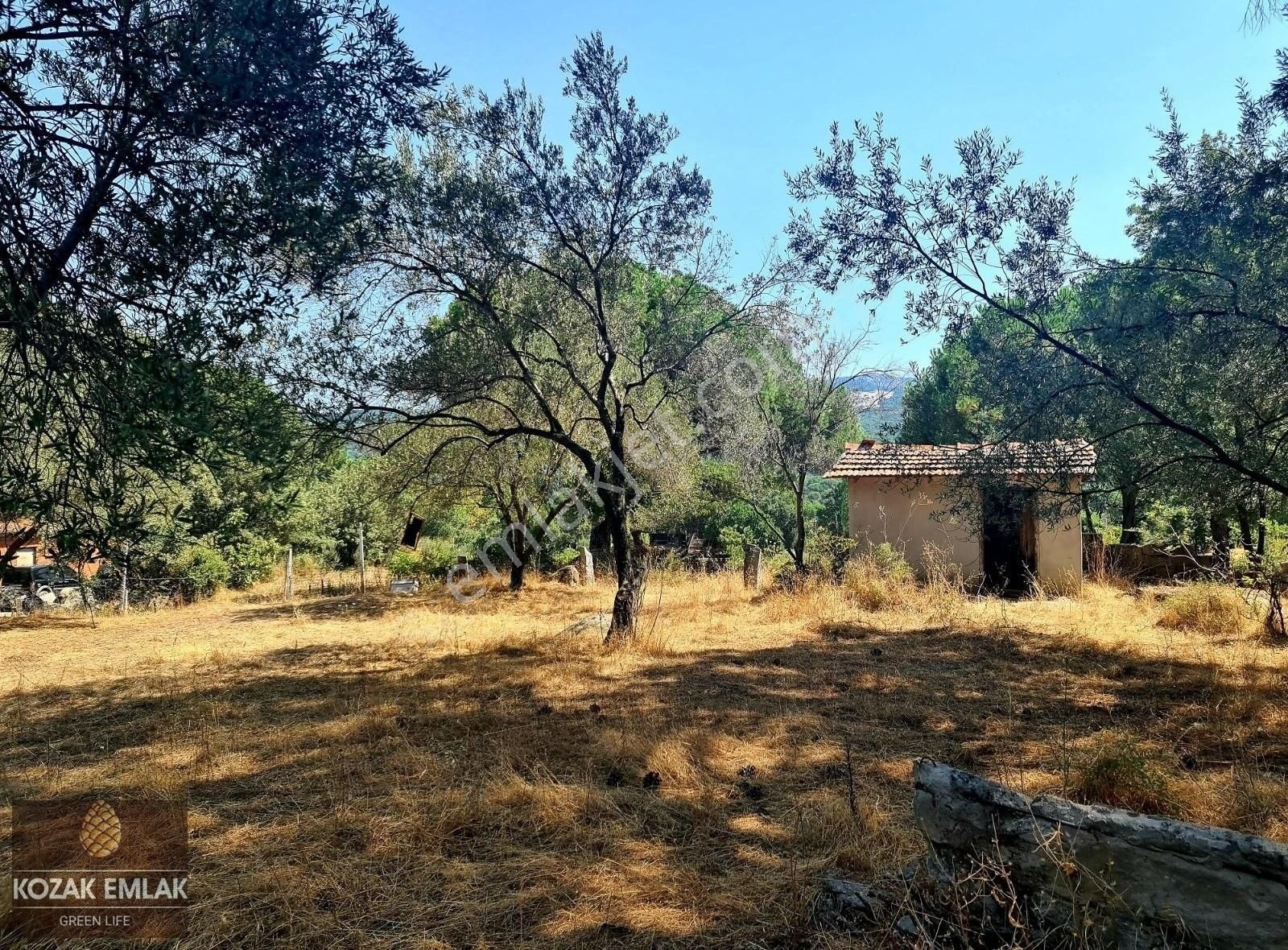 Bergama Okçular Satılık Bağ & Bahçe Bergama Kozak Okçular Bahçe Satılık