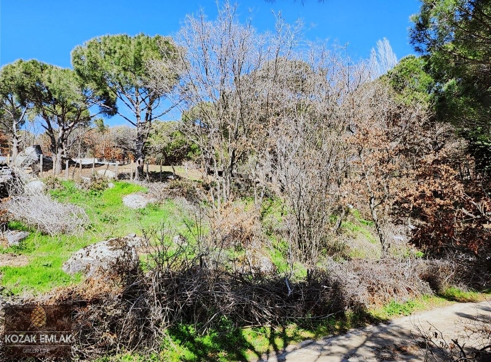 Bergama Kozak Kıranlı Bahçe Satılık - Görsel 8