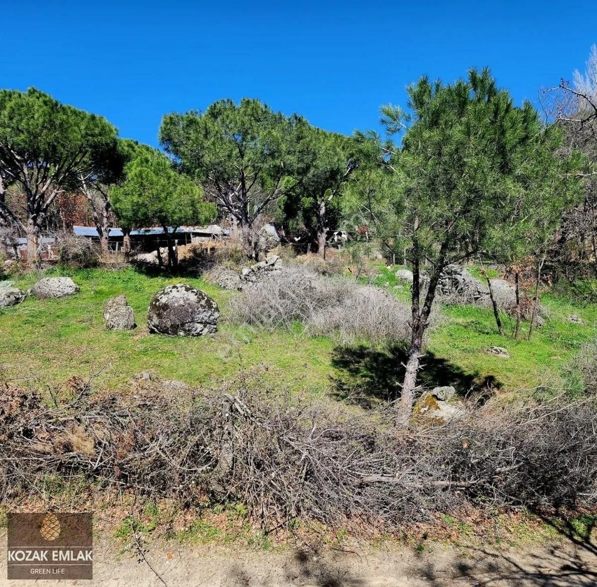 Bergama Kozak Kıranlı Bahçe Satılık - Görsel 11