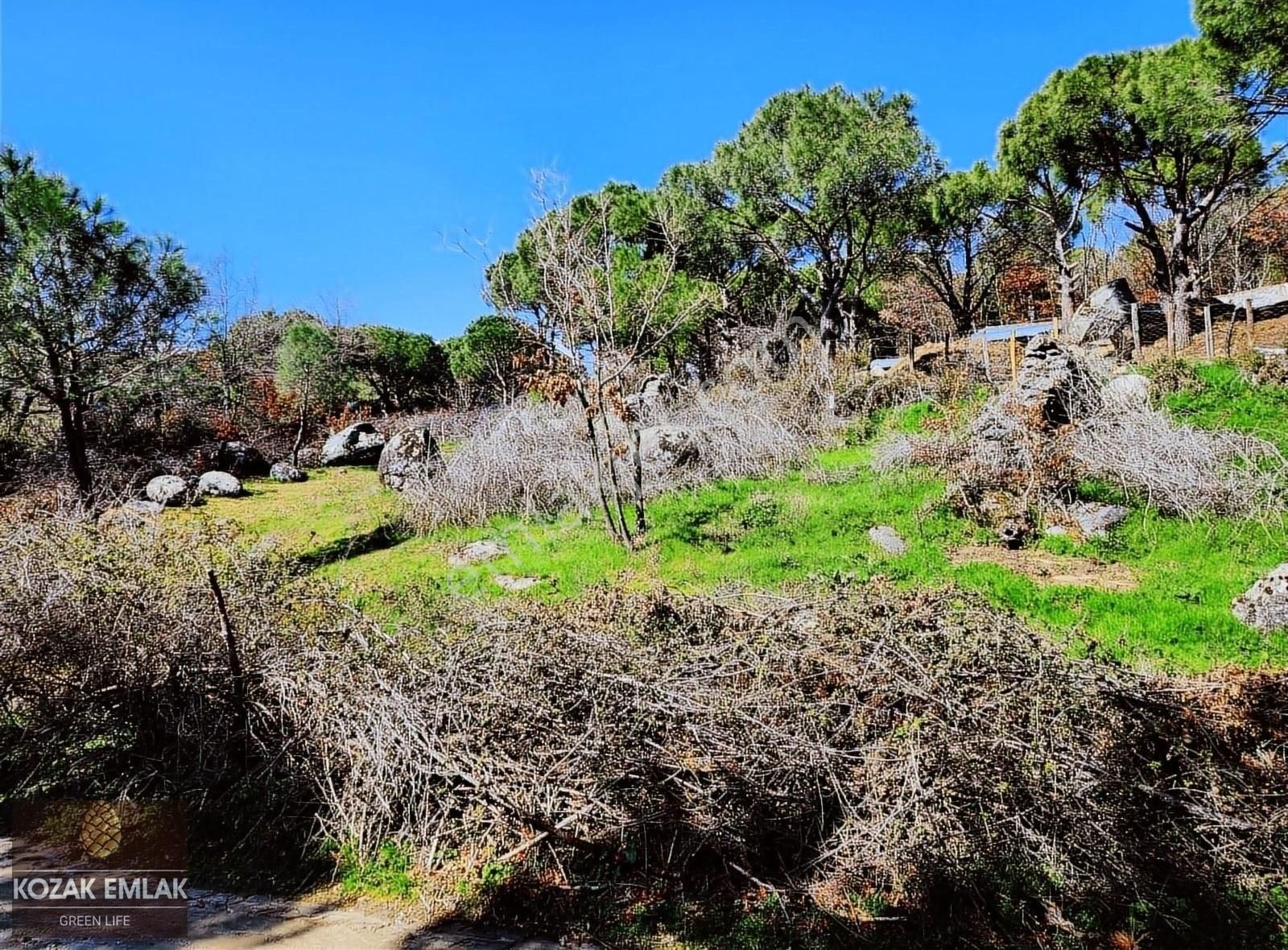 Bergama Kıranlı Satılık Bağ & Bahçe Bergama Kozak Kıranlı Bahçe Satılık