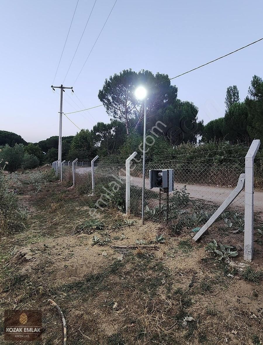 Bergama Karaveliler Tarım İmarlı Tarla Satılık