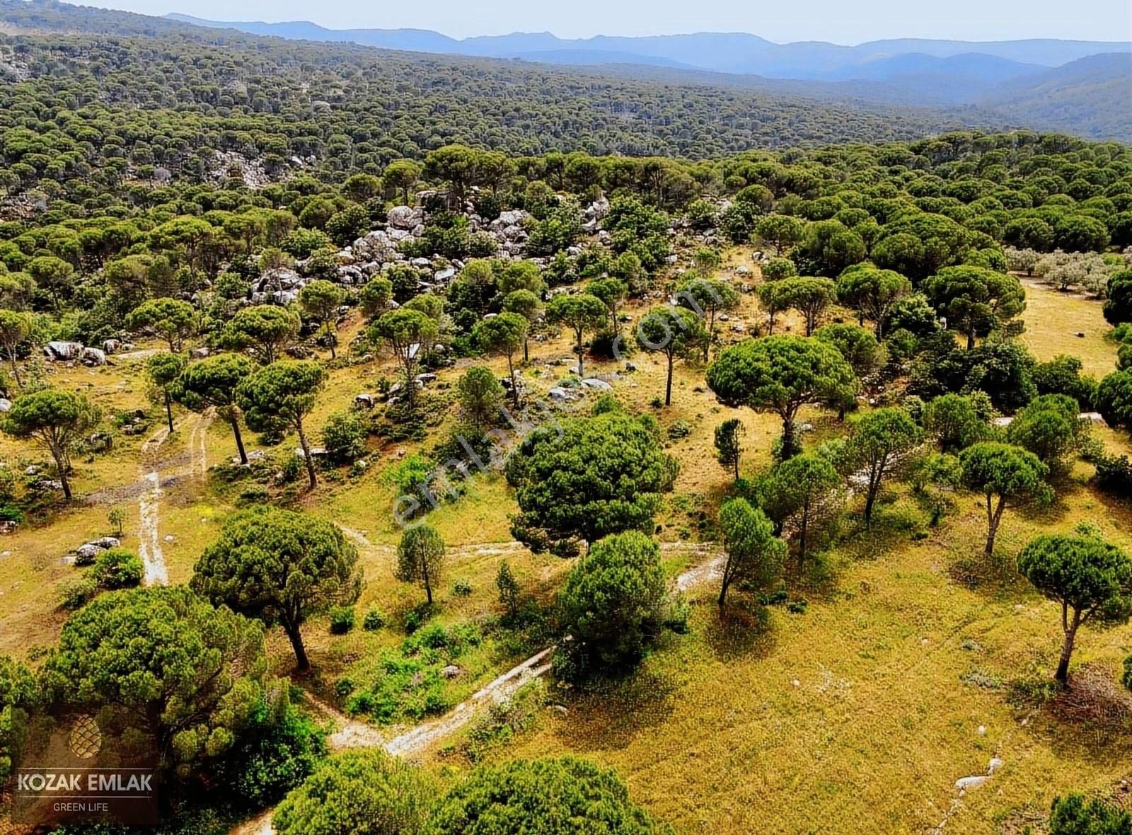 Ayvalık Bağyüzü Satılık Bağ & Bahçe Ayvalık Bağyüzü Tarım İmarlı Bağ 14.927 m2 Satılık