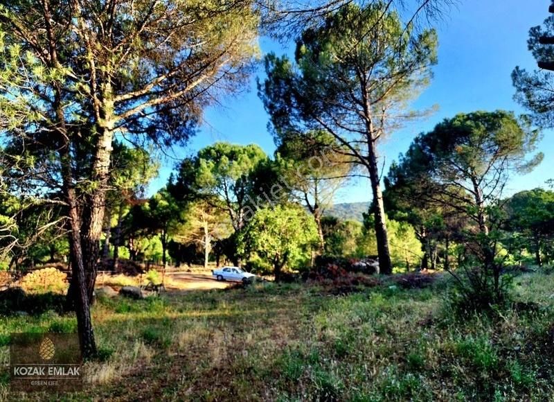 Bergama Kozak Hisar Bağ Satılık