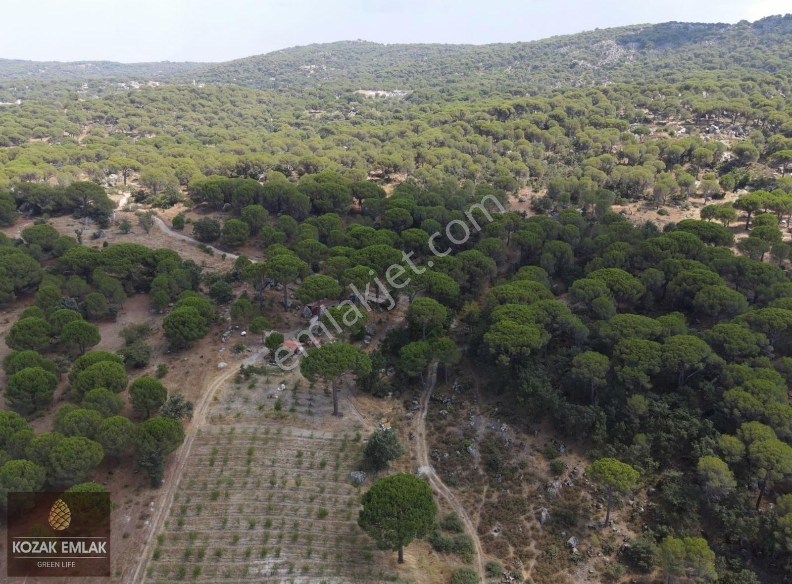 Bergama Kozak Okçular Badem Tarlası Satılık - Görsel 23