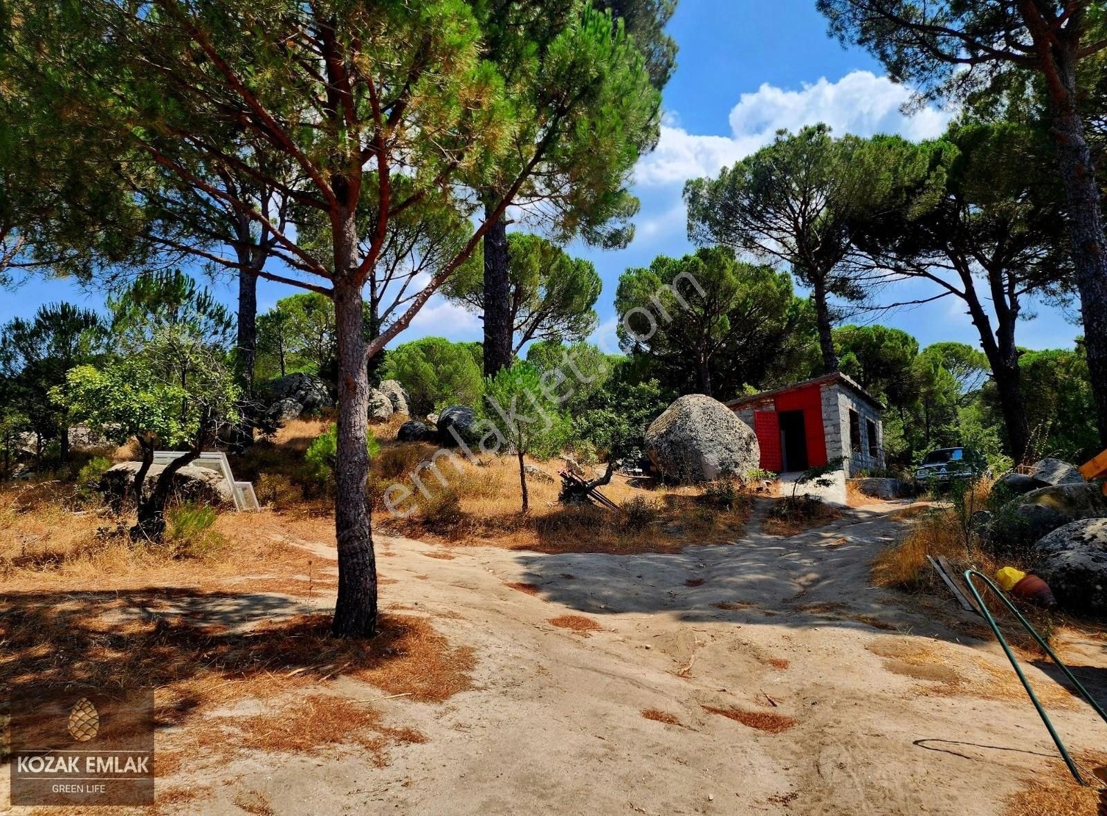 Bergama Kozak Okçular Badem Tarlası Satılık - Görsel 27
