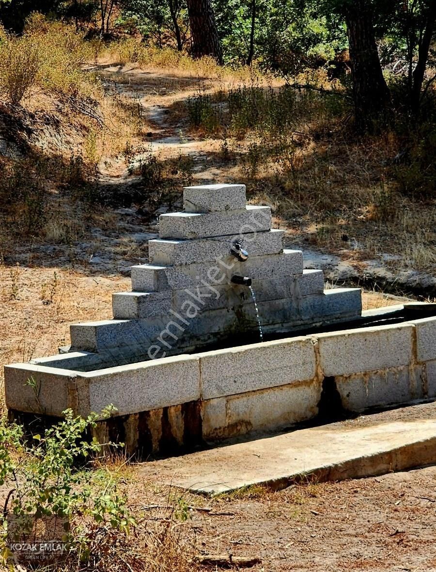 Bergama Kozak Okçular Badem Tarlası Satılık - Görsel 15