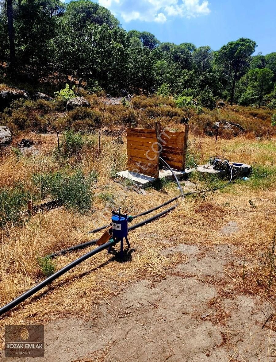 Bergama Kozak Okçular Badem Tarlası Satılık - Görsel 3
