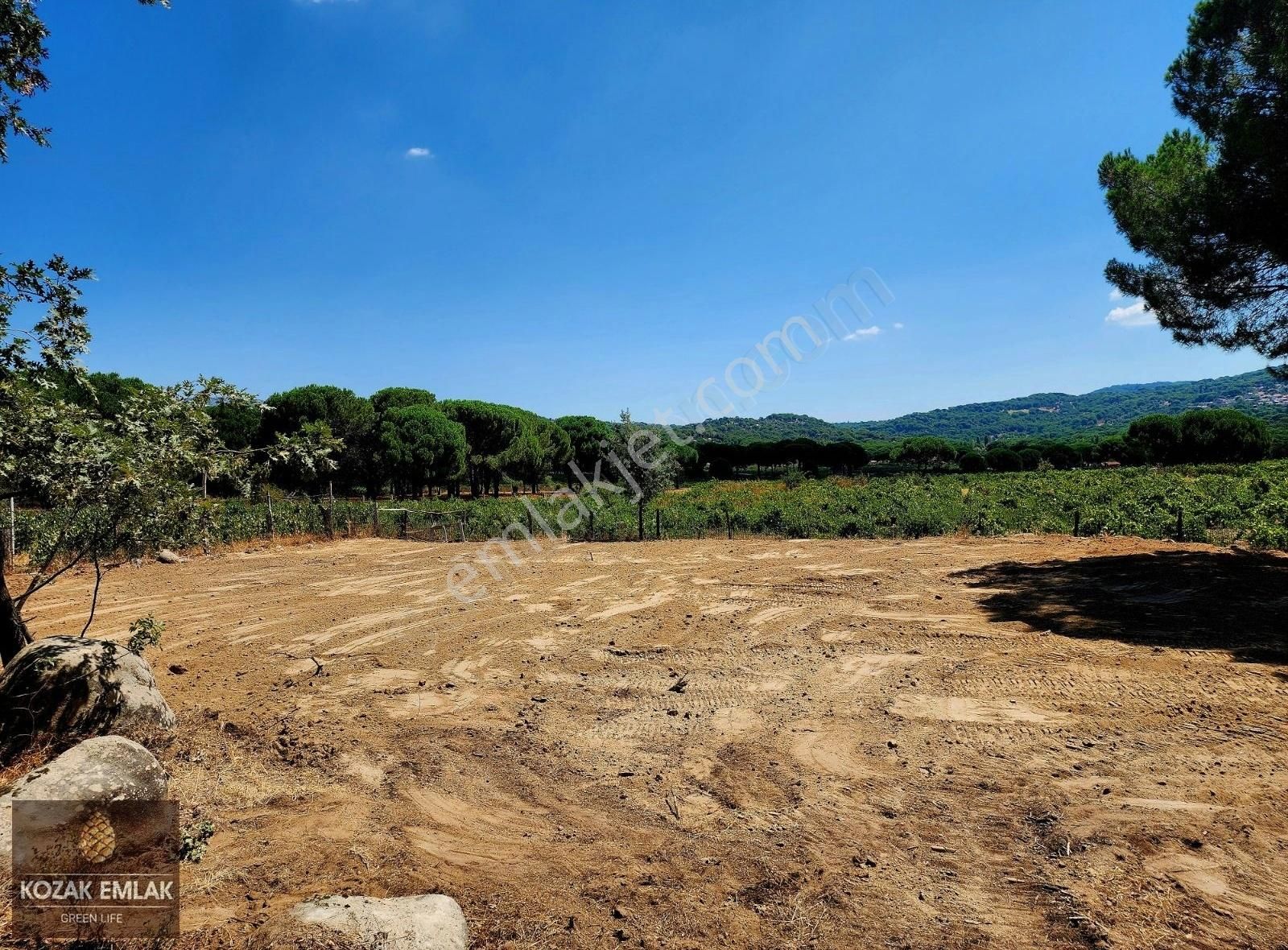 Bergama Aşağıbey Satılık Bağ & Bahçe Bergama Kozak Aşağıbey Bahçe Satılık