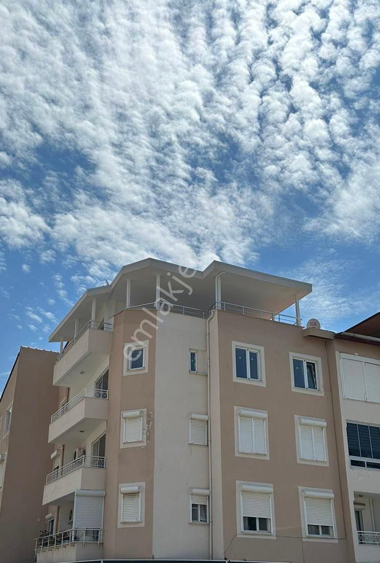 Didim Çamlık Satılık Daire DİDİM ALTINKUM ÇAMLIKTA KELEPİR 3+1 DUBLEKS DENİZE 300metre