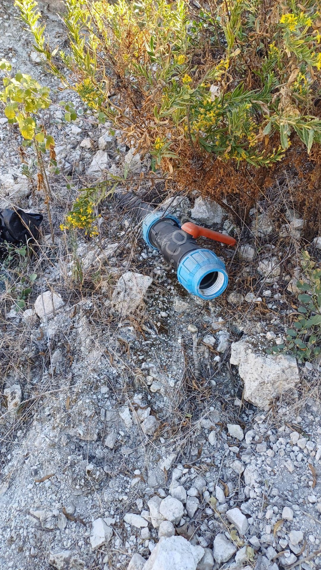 Doğa Gayrimenkul'den Aydın Kuyucak'ta Kaçırılmayacak Yatırım Fırsatı - Görsel 2