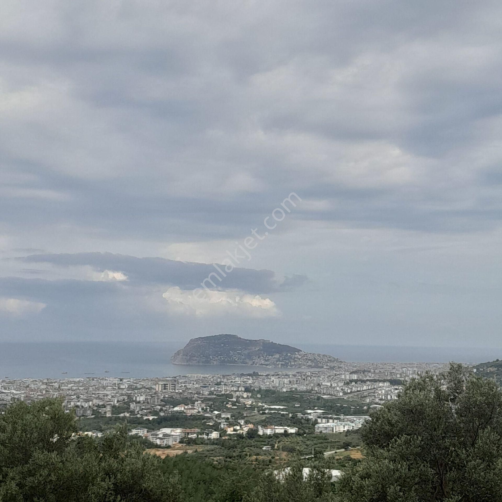 Alanya Kızılcaşehir Satılık Tarla Alanya Sahibinden Satılık Deniz Manzaralı Arazi