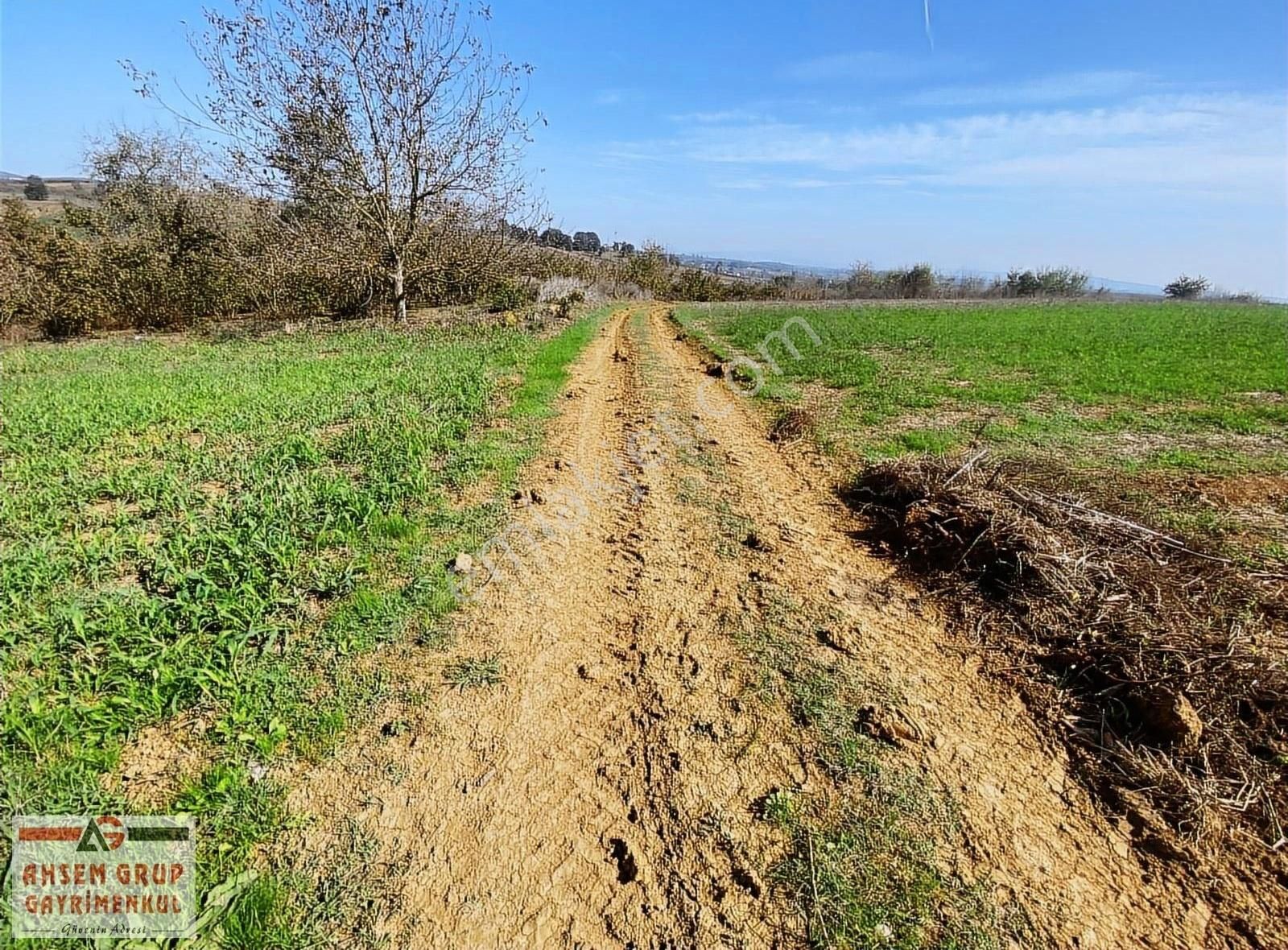 Söğütlü İmamlar Satılık Bağ & Bahçe İmamlarda İçerisinde Bungalov Ev Bulunan 1800 M2 Bahçe