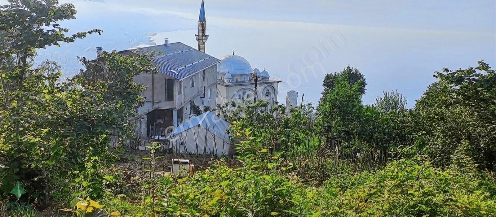 Giresun Merkez Seldeğirmeni Satılık Tarla DELTA GAYRİMENKUL'DEN SELDEĞİRMENİ MAH. SATILIK FIRSAT ARSA