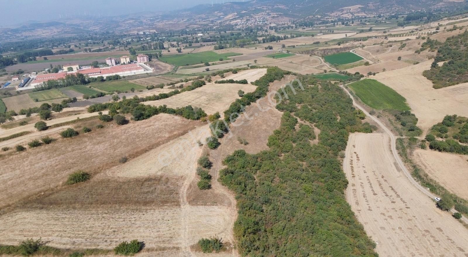 Kepsut Akçaköy Satılık Tarla GOOD İNVEST YÖN'DEN KEPSUT AKÇAKÖY DE SATILIK TARLA