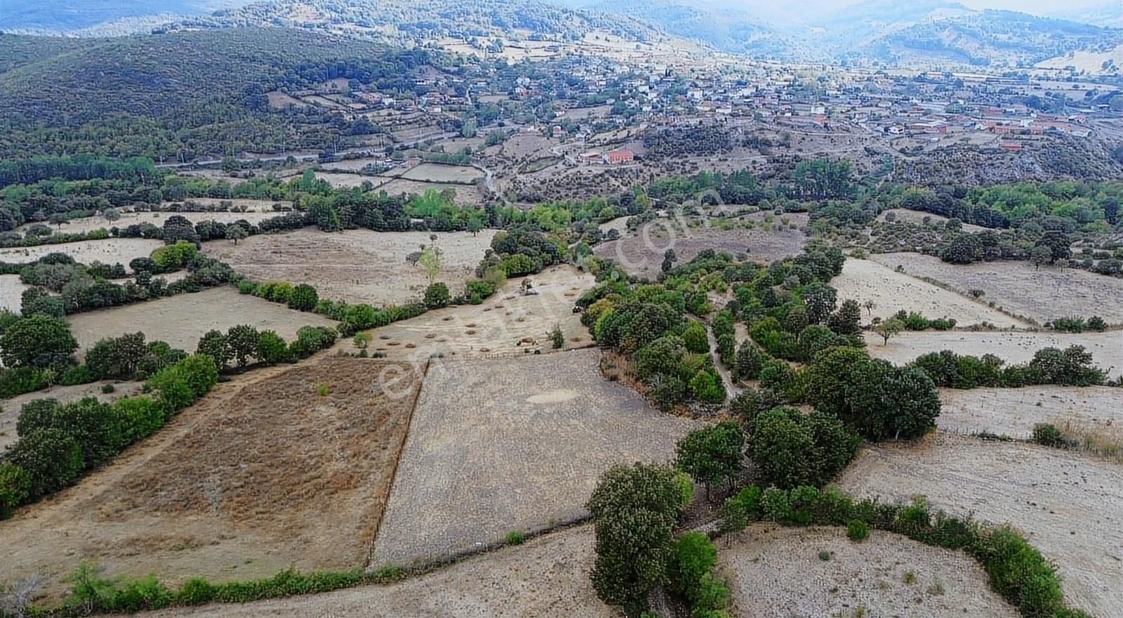 Balya Mancılık Satılık Tarla GOOD İNVEST YÖN'DEN BALYA MANCILIK KÖYÜNDE SATILIK TARLA