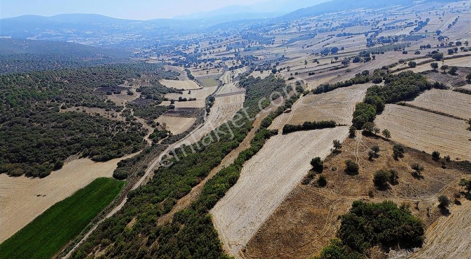 Kepsut Akçaköy Satılık Tarla GOOD İNVEST YÖN'DEN KEPSUT AKÇAKÖY MAH.DE SATILIK TARLA