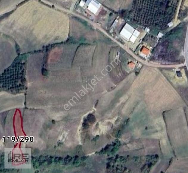 Kandıra Elmacık Ta Acil Satılık 1600 M2 Tarla - Görsel 2