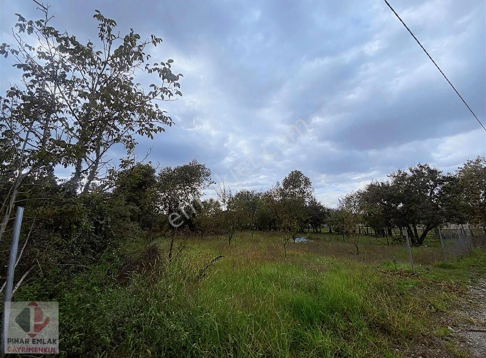 Kartepe Çepni Satılık Bağ & Bahçe Suadiye De Merkeze Yakın Bahçe