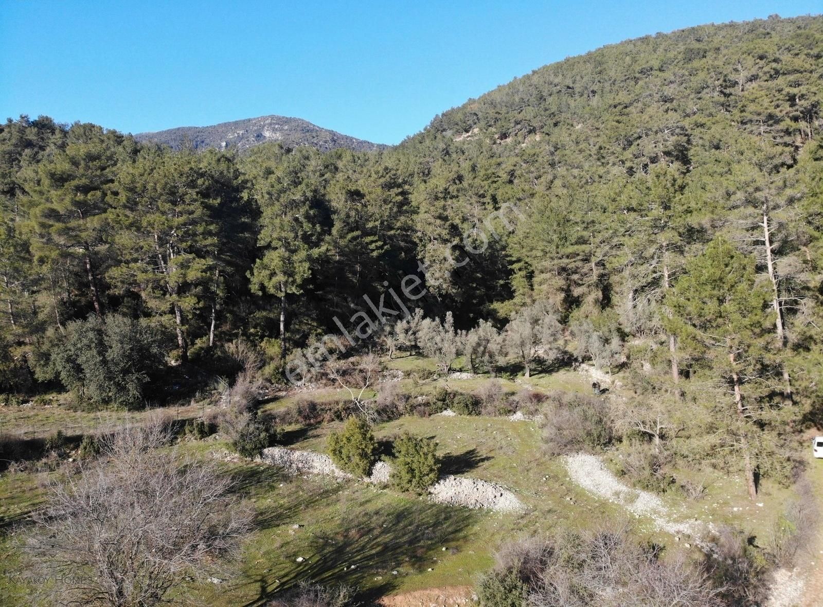 Fethiye İncirköy Satılık Tarla İncirköy'de Arkası Orman Manzaralı Yol,su,elektrik (s-646)