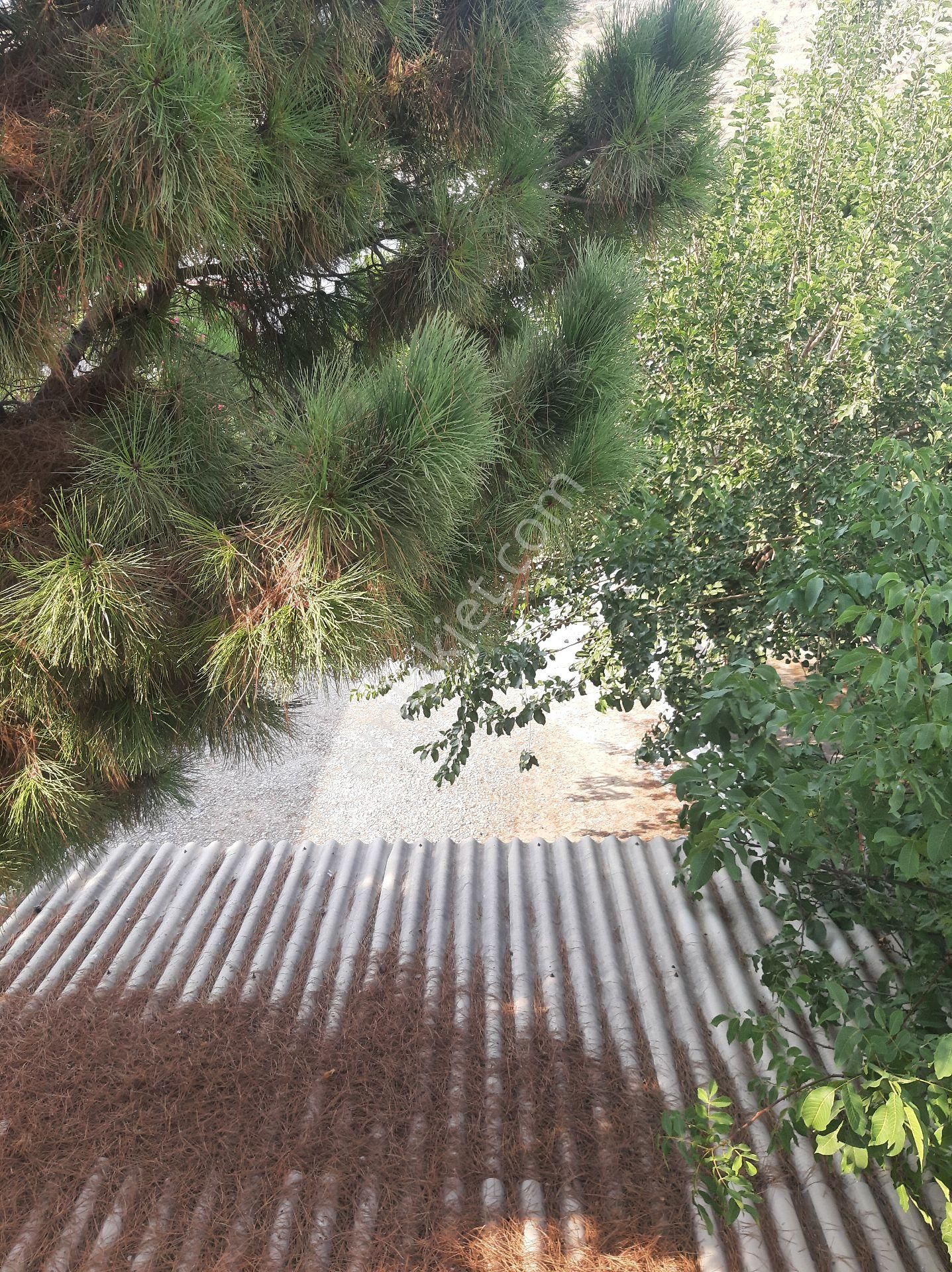 Acil Sahibinden Satılık Villa - Görsel 5