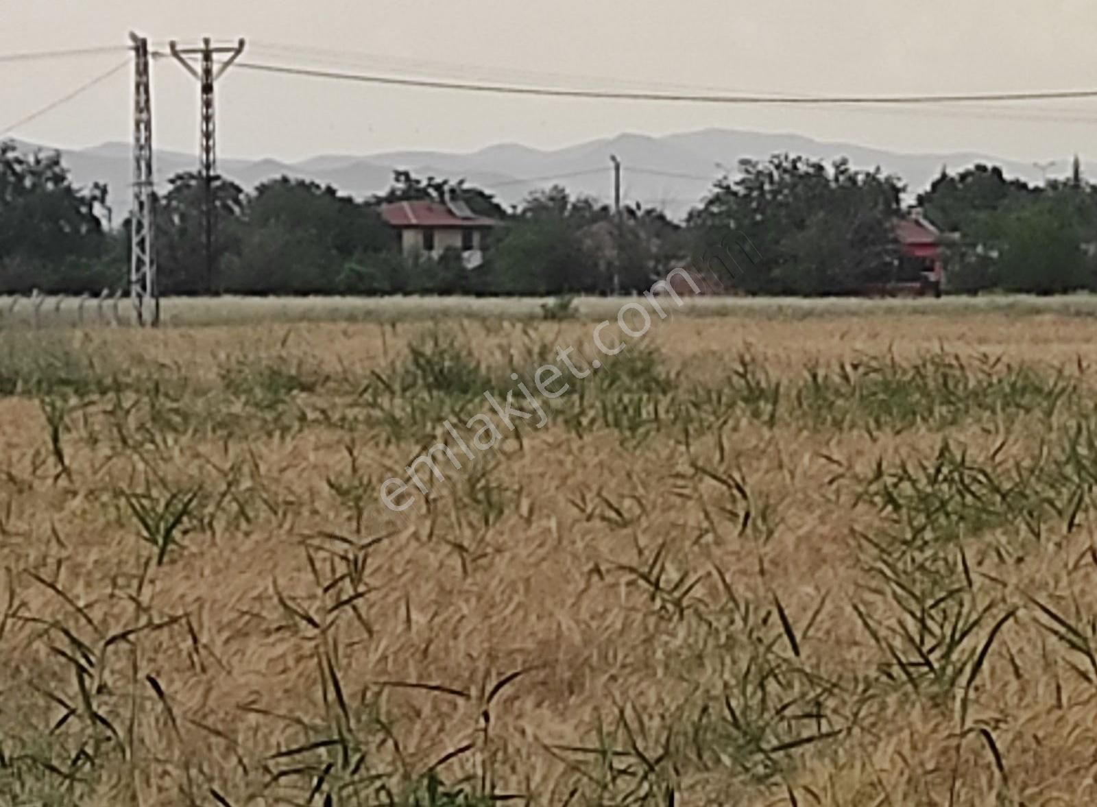 Elazığ Merkez Kuyulu Köyü Satılık Tarla Kuyulu Köyünde Satılık Tarla