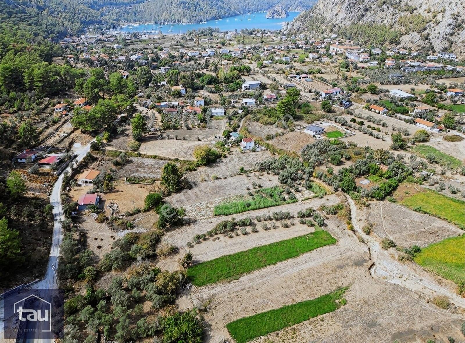 Marmaris Orhaniye Satılık Tarla Marmaris Orhaniye Bağarası Mevkii 1500m2 Satılık Tarla