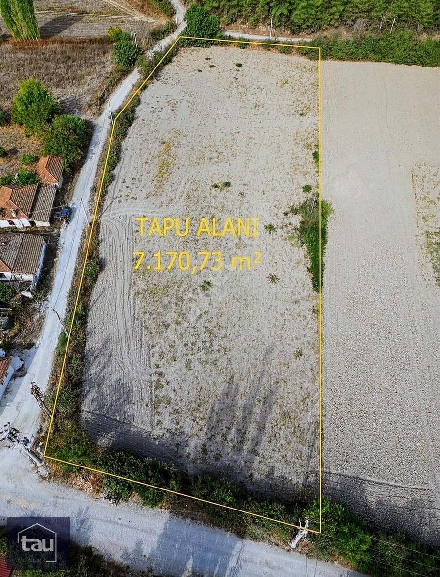 Ula Çıtlık Satılık Tarla Muğla Ula Çıtlık Yılanlık'ta Kaçırılmaz Fırsat: 7.170 M² Arazi