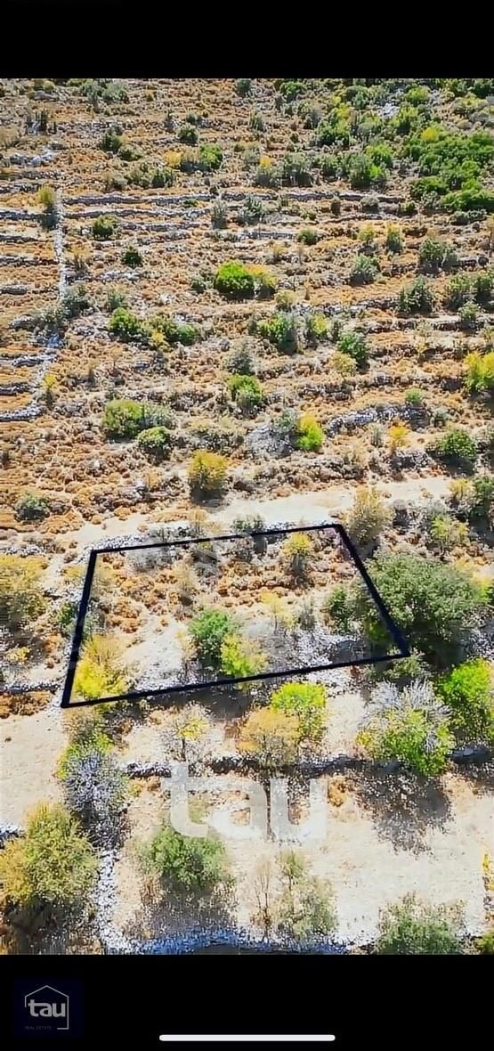 Marmaris Söğüt Satılık Tarla Söğüt'te 287m² Emsallerine Göre Çok Uygun Tarla