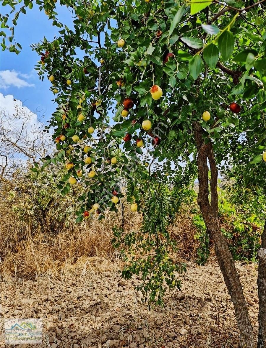 Karesi Yeniköy Satılık Tarla Klc'den Balıkesir Karesi Yeniköyde Satılık 9.067 M2 Tarla