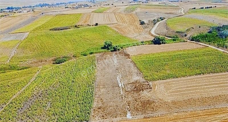 Silivri Çanta Balaban Satılık Tarla BALABANDA YANYANA 2 ADET 250m2 ADET FİYATI 450bintl